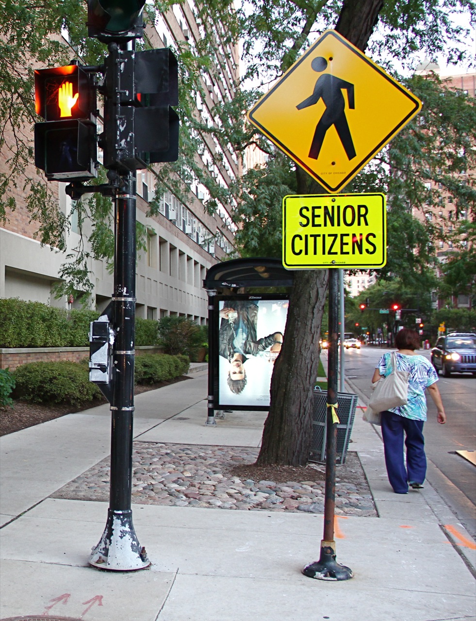 Bike Walk Lincoln Park Chicago's dangerous crosswalks