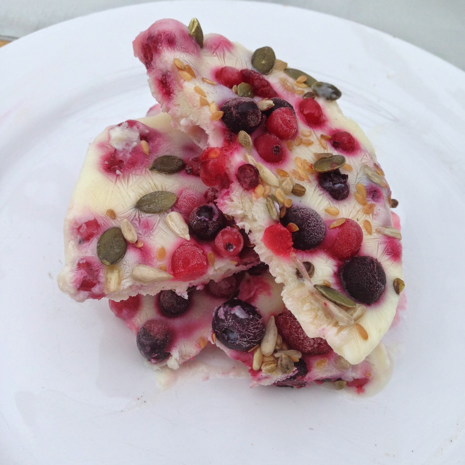 Fruit and Nut Frozen Yogurt Slices Recipe! Allure La Vie