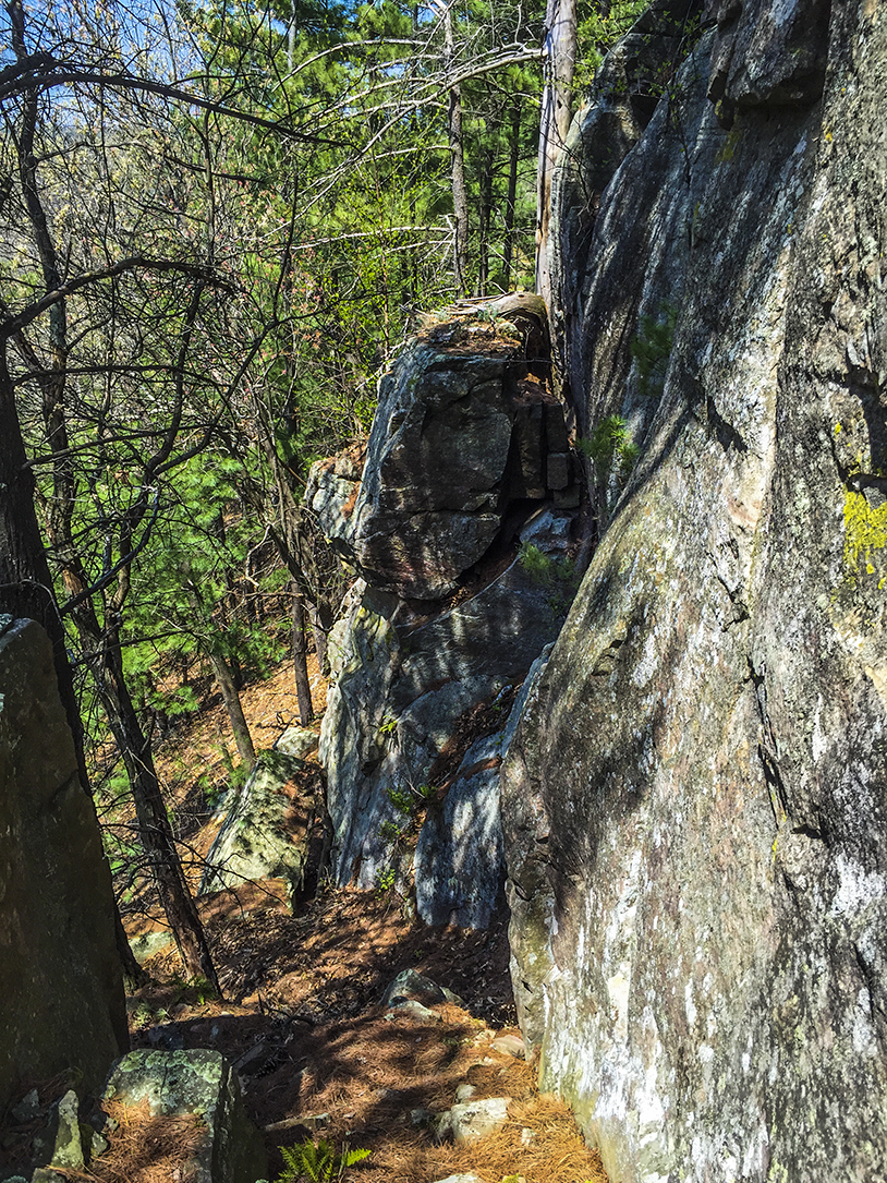 Wisconsin Explorer Hiking The Lone Rock Trail at Quincy Bluff