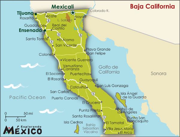 "El Mayo" tries to control Baja California. His lieutenants fight each