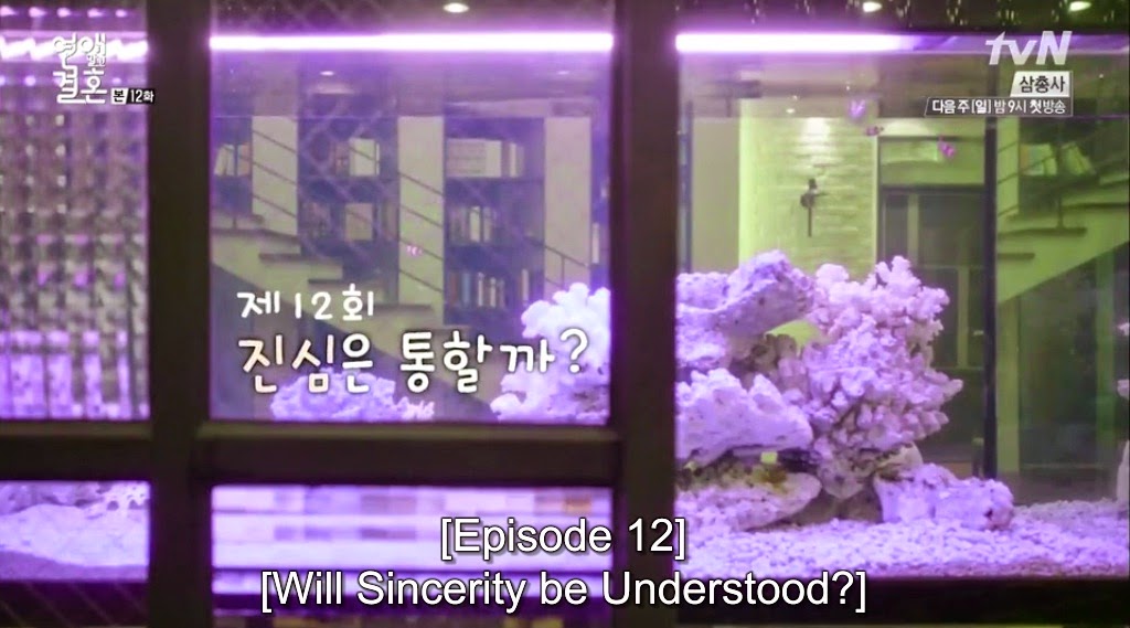 Sinopsis marriage not dating