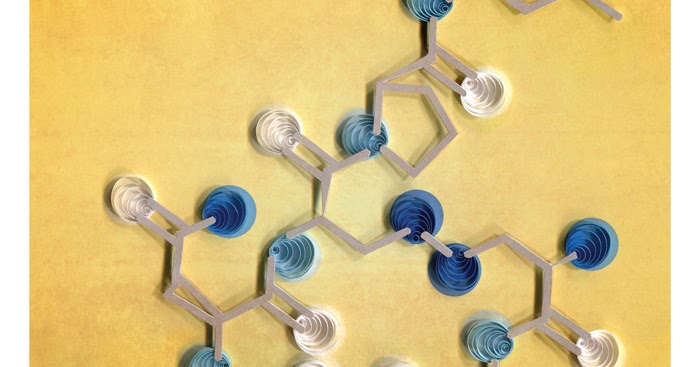 Oxytocin levels in males and females picture