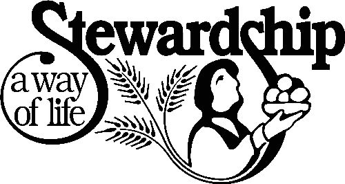 good stewardship definition good stewardship definition