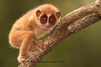 Periyar Wildlife Sanctuary