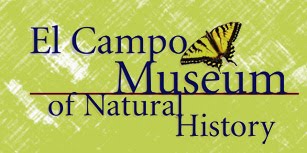 El Campo Museum of Natural History