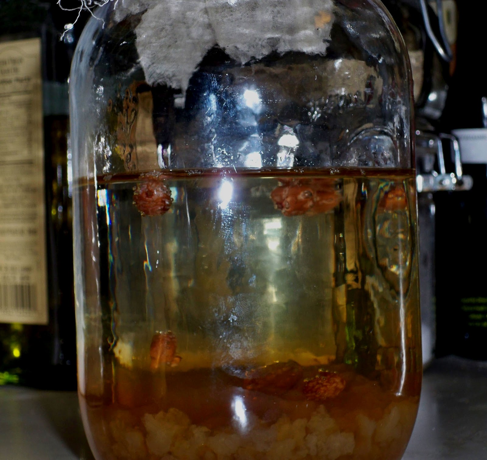 My Table Kefir Water to Ginger Beer