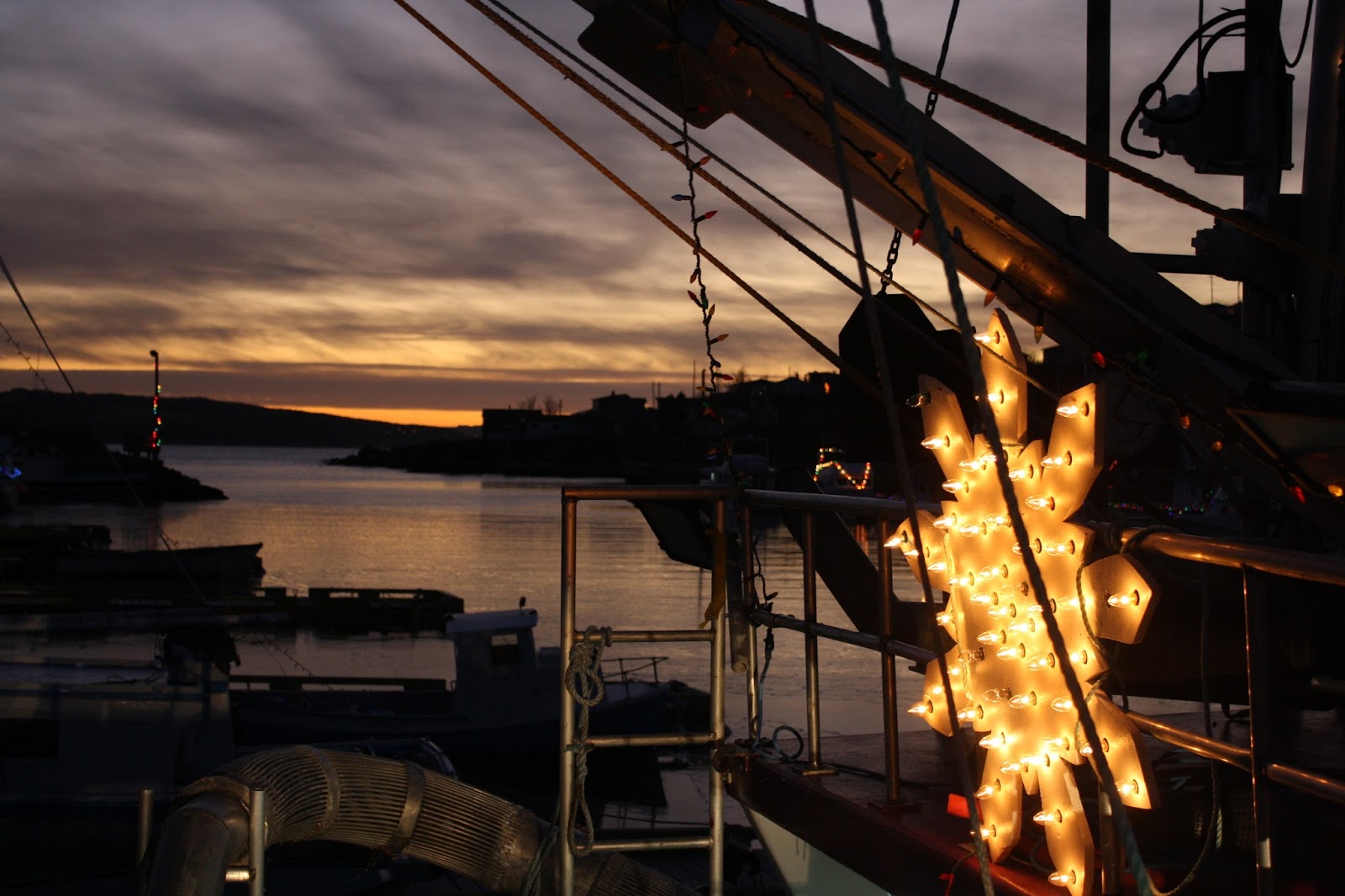 My Dark Cove Pantry Port de Grave Annual Boat Lighting