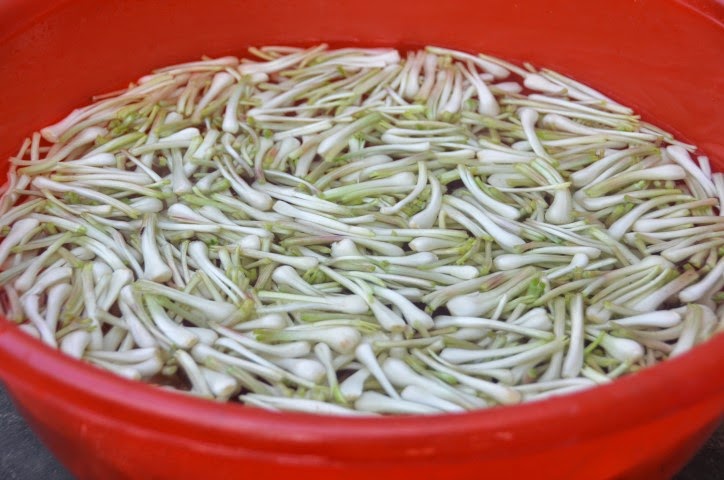 Thanh's Kitchen: Cu Kieu (Pickled Chinese Onions)--my grandfather's method