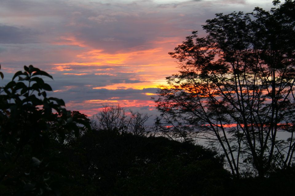 Herbal Medicine Box Sacred Plant Medicine Journey Costa Rica