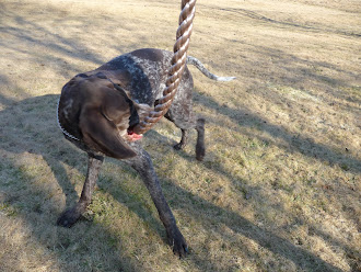 "valpen" Tuva i höstas, 8 år