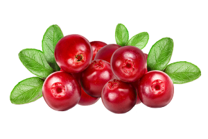 Cranberry-and-Grape-Seed-Health-Benefits