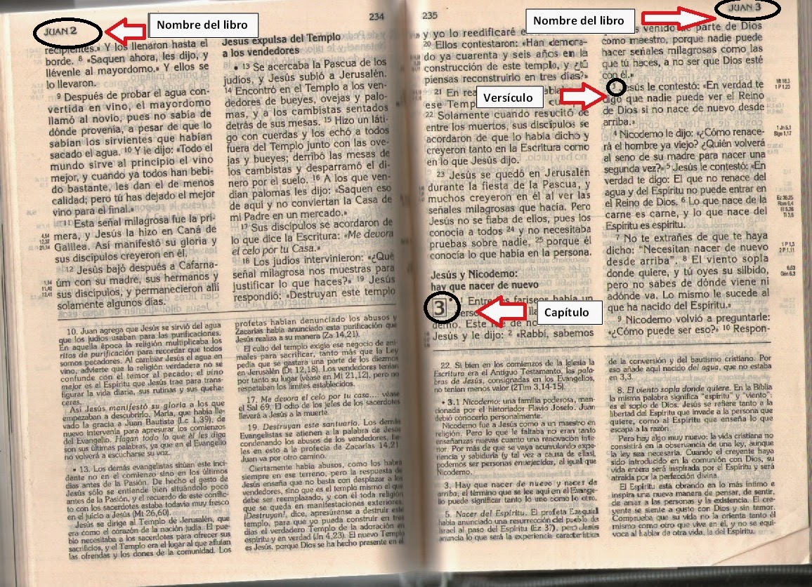 TALLER PAREJAS CATÓLICAS GUÍA PARA BUSCAR EN LA BIBLIA