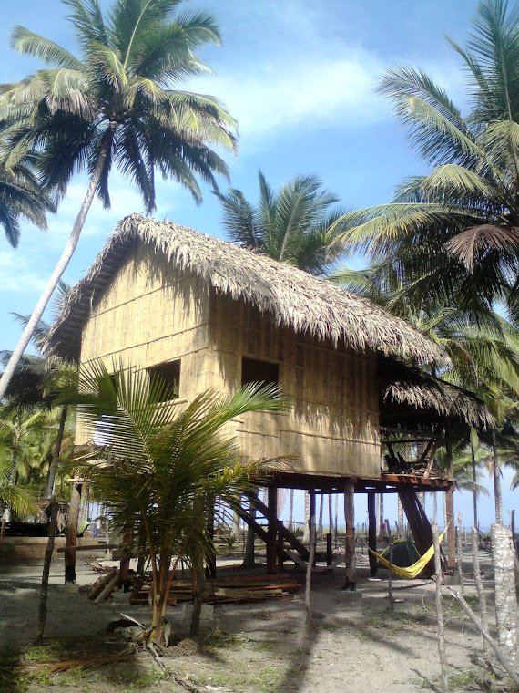 tour to the coconut island