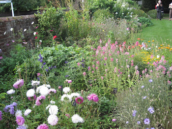 Flowers in Jane Austen's garden at Chawton Cottage