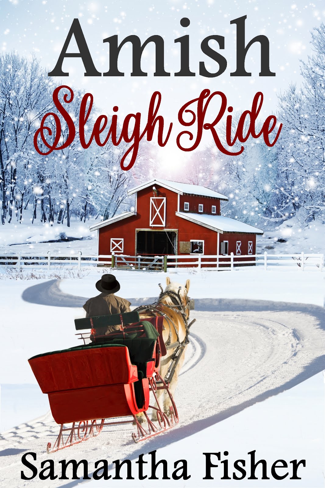 Amish Sleigh Ride
