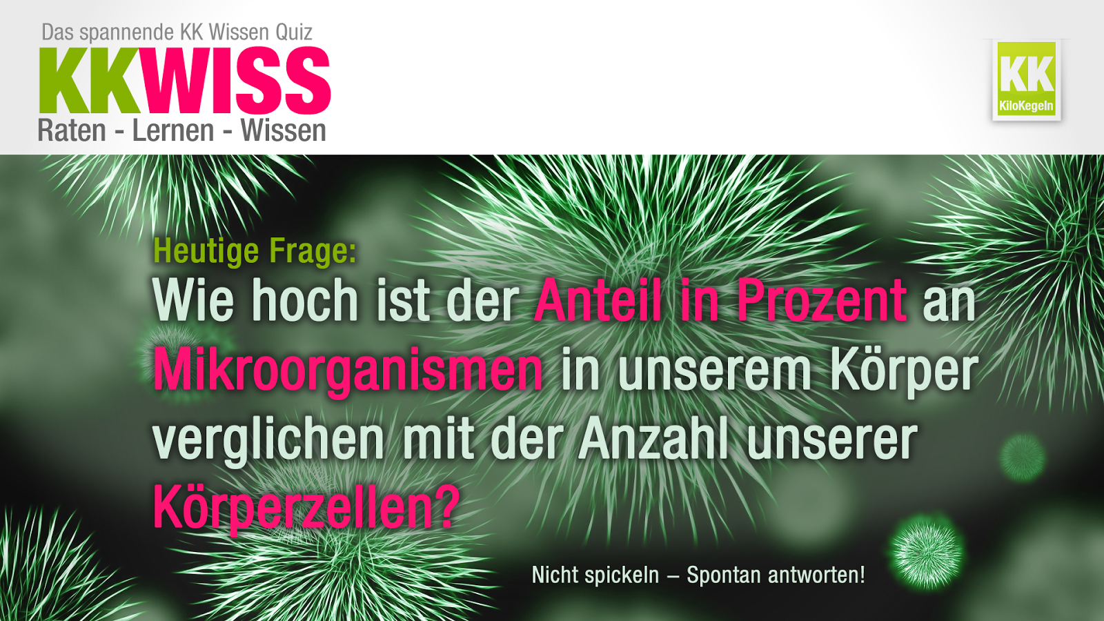 New York History Geschichte Rockaway Bungalows