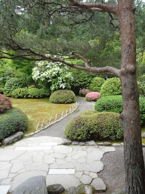 The British Gardener The Tropical Years Headache Hollies The