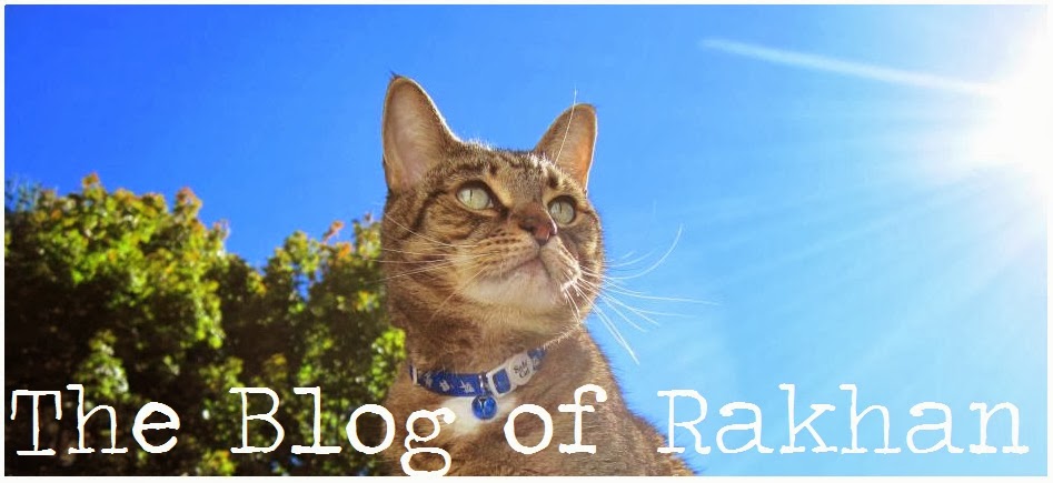 The Blog of Rakhan