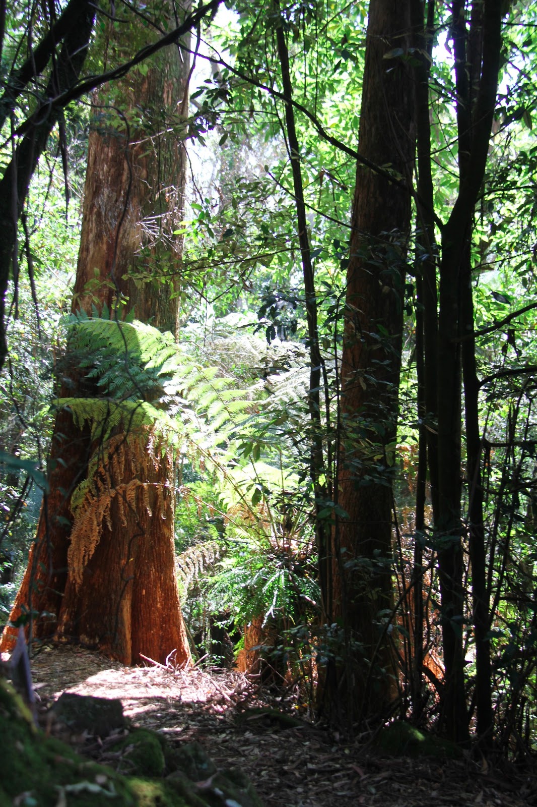 EATspeak Mount Tomah Botanical Gardens
