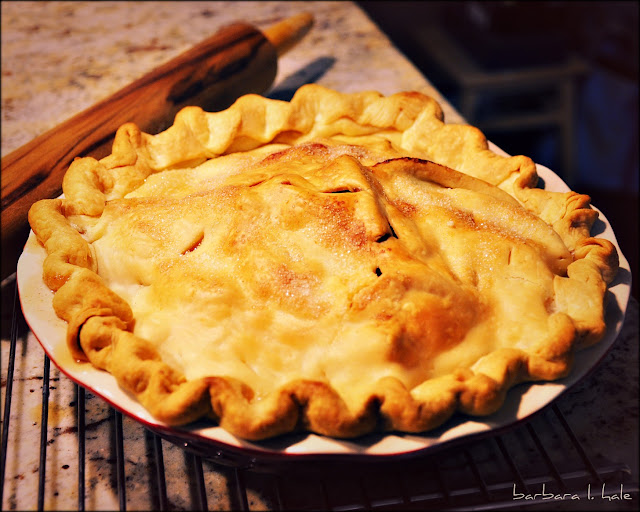 Commonplace Beauty Photography Apple pie, cheddar cheese and
