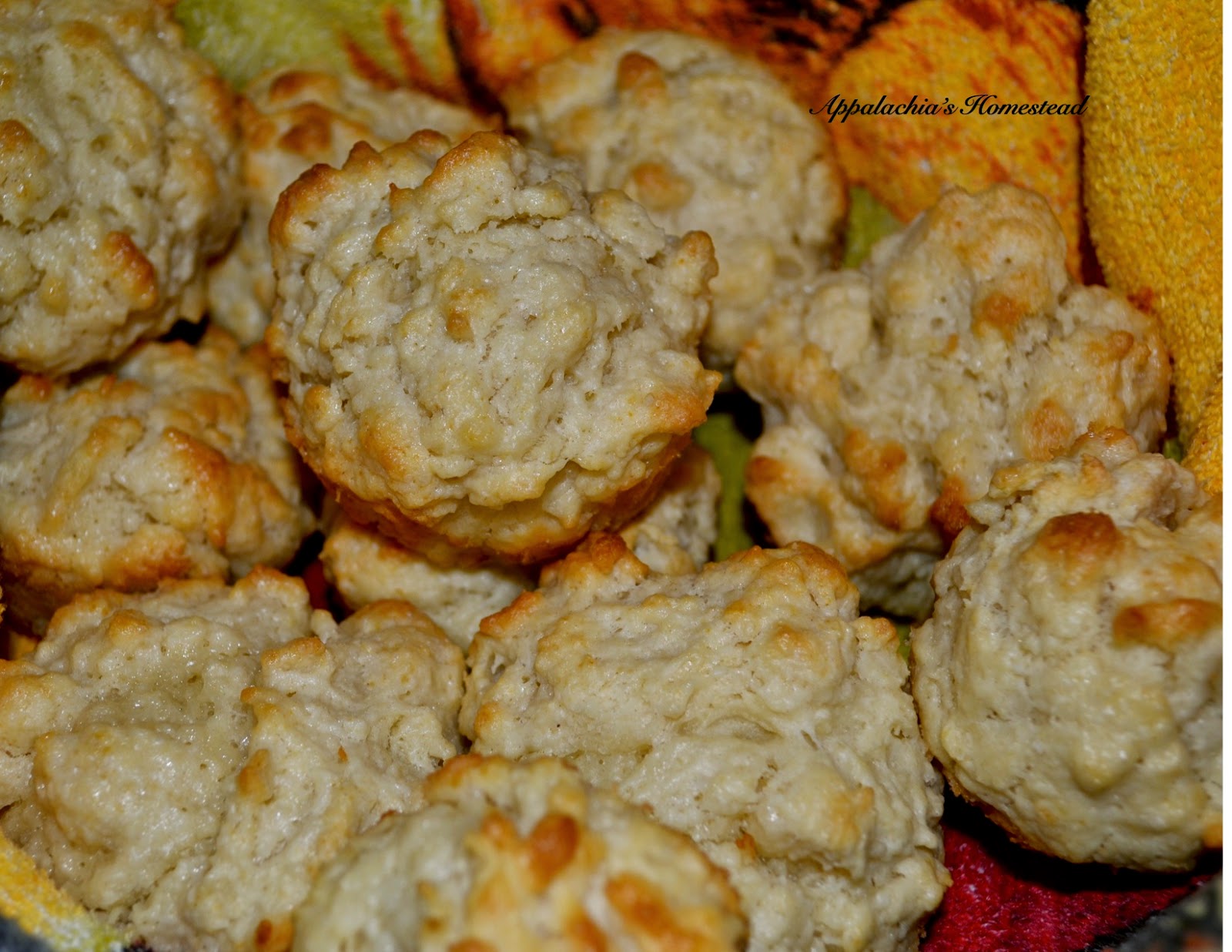 Appalachia's Homestead Mayonnaise Rolls