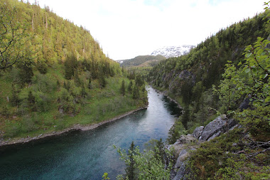 Strompdalselva elvevandring