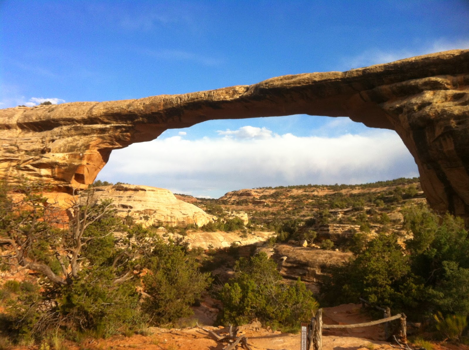 Our Fantastic Falcon Voyage Natural Bridges National Monument, UT