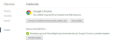 Google Chrome 22 Güncelleme