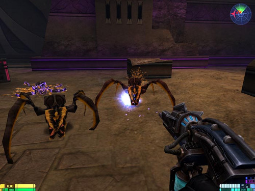 Vittoria A Porn Galleries