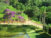 Pesqueiro Serra Verde