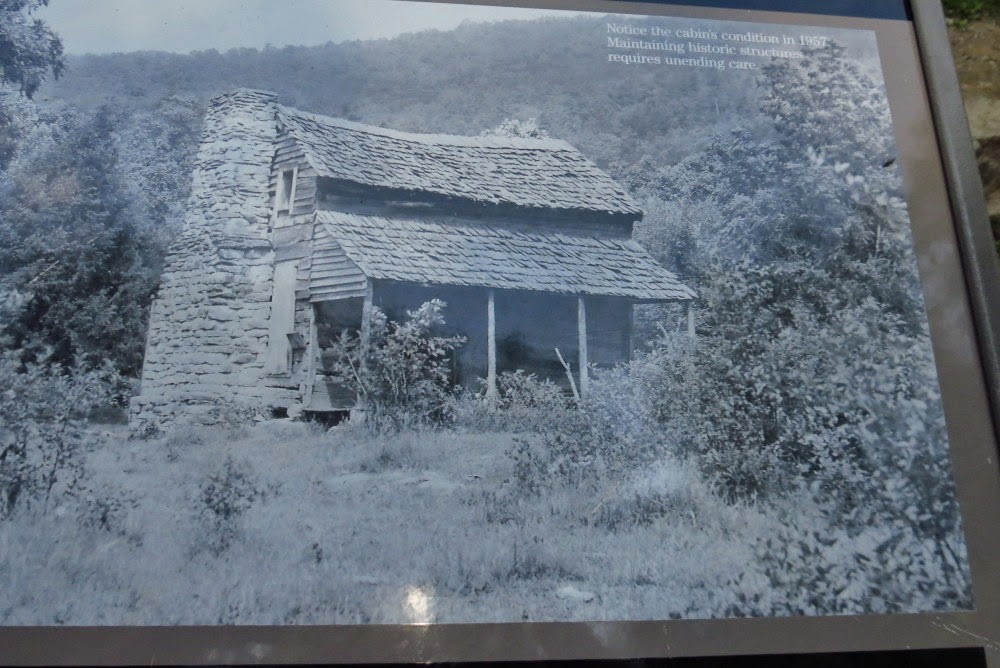 Window on Nature Cades Cove Tour