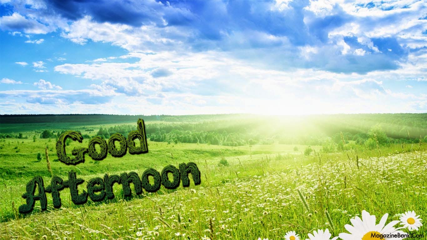 Good Afternoon Pictures Images Gallery Collection Amazing Photo Stock Good Afternoon Pictures Images Gallery Collection Amazing Photo Stock