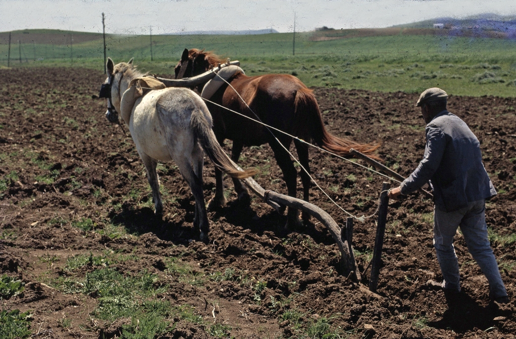El trabajo en el campo