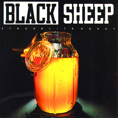 Black Sheep – Strobelite Honey (CDS) (1992) (FLAC + 320 kbps)