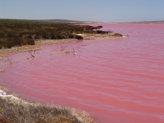pink+lake.JPG