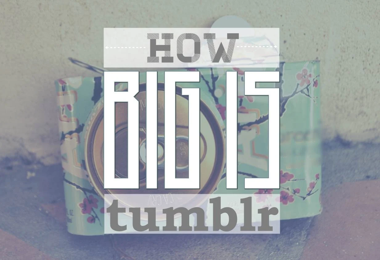 The Numbers Behind Tumblr - infographic
