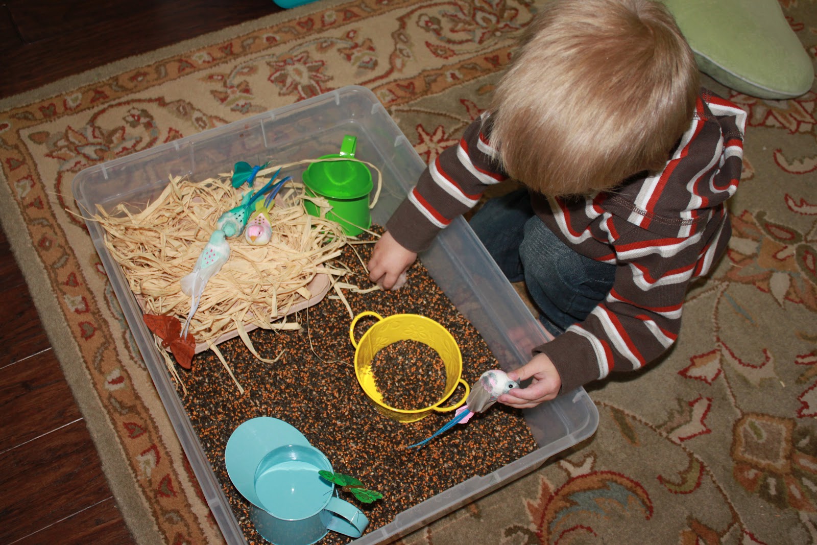 Bird's Nest Sensory Bin Learn Play Imagine