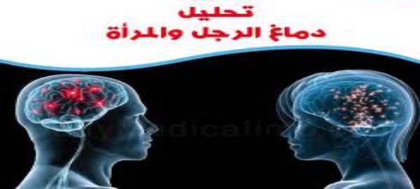 My Blog وليس الذكر كالأنثى رؤية علمية جديدة