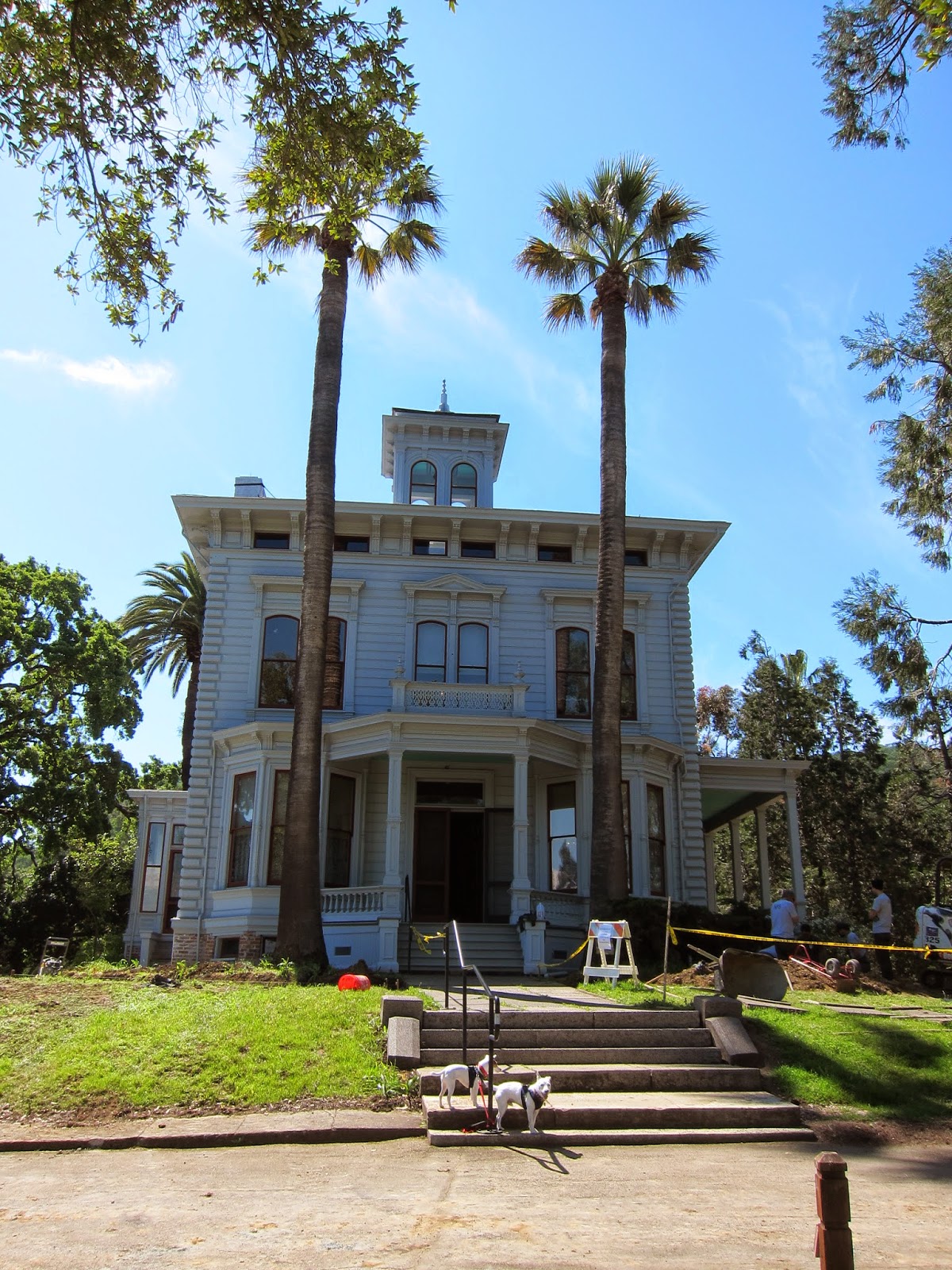 Scout Around John Muir National Historic Site
