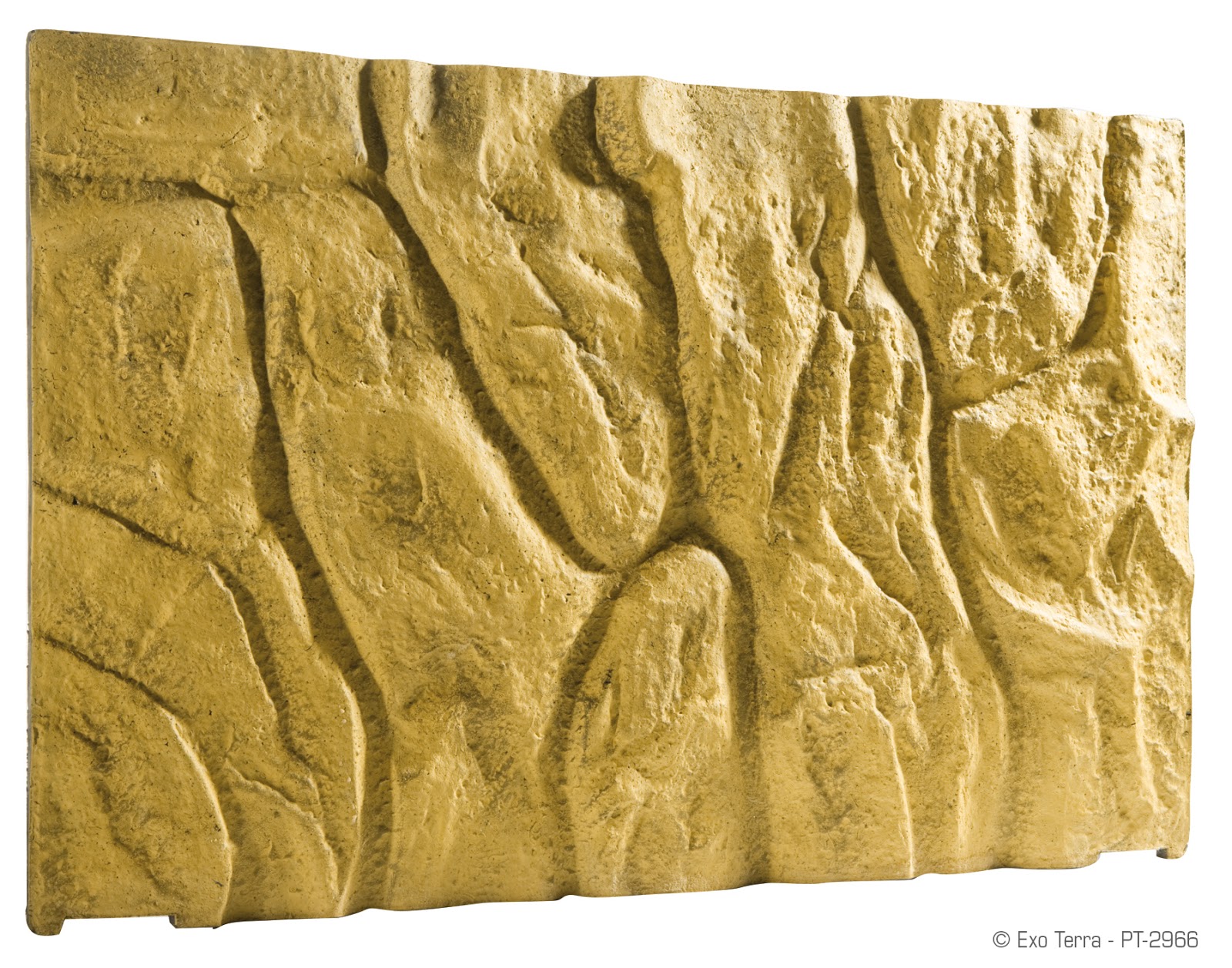 Background Wedding Pics Background Reptile Terrarium