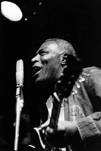 Solitary Dog Sculptor I Music Howlin Wolf Back Door Man 1960