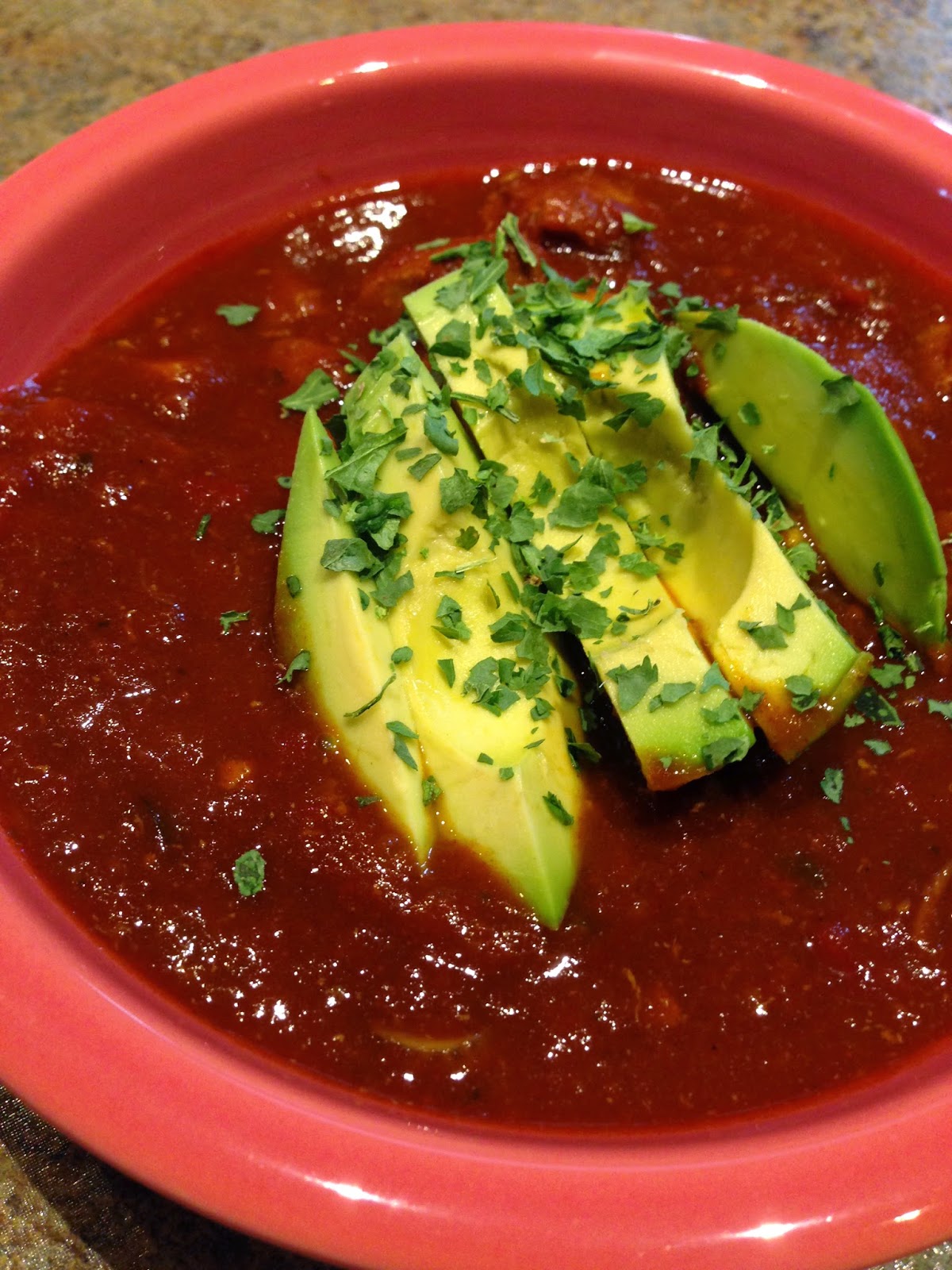 The Audacious Cook Chicken Enchilada Stew