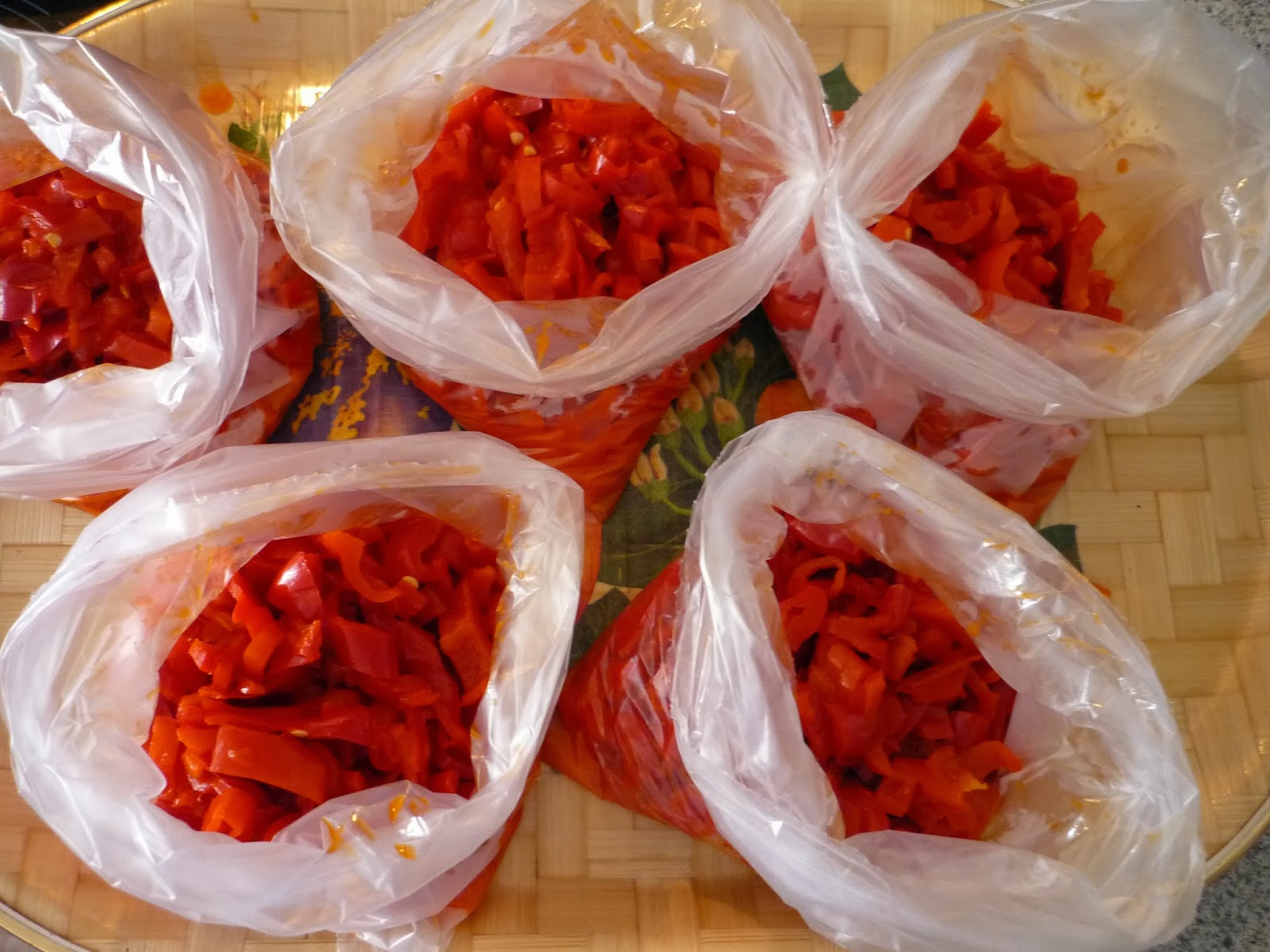 portakal ağacı kış hazırlıkları