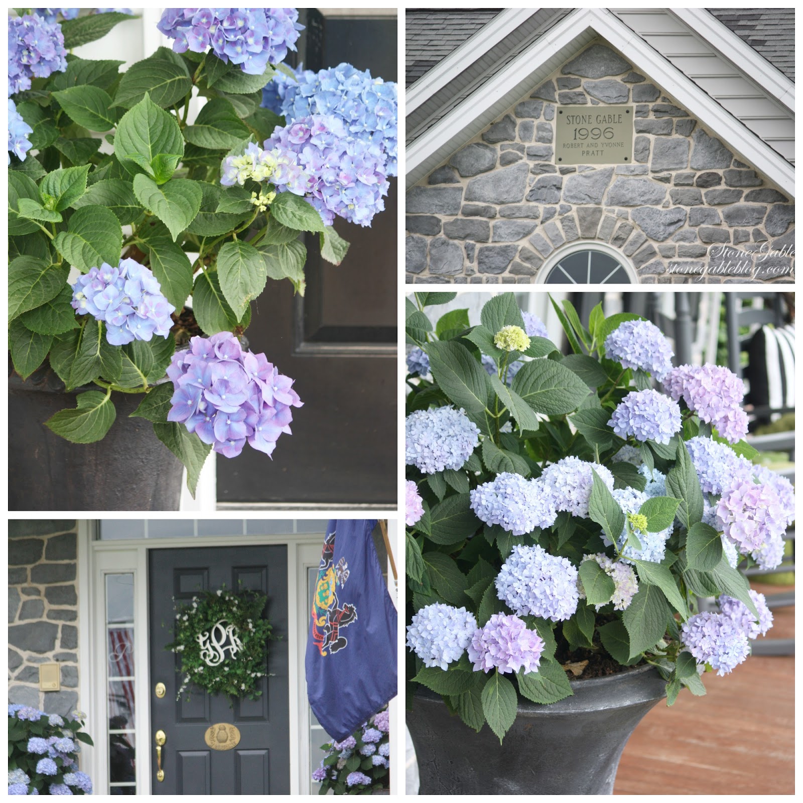 Wayside Treasures Miss Kim Korean Lilacs