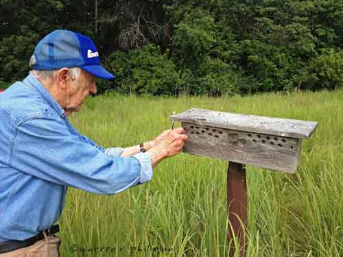 Retired--Now What?: Bluebird Nesting Box Addendum