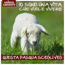 Pasqua 2024, ma anche il resto dell'anno!