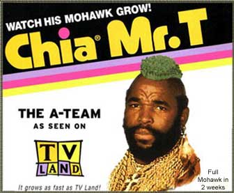 chia-mrt.jpg