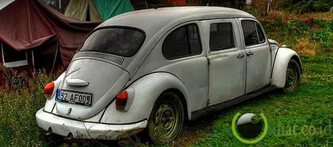 Beetle Limousine Beetle Limousine
