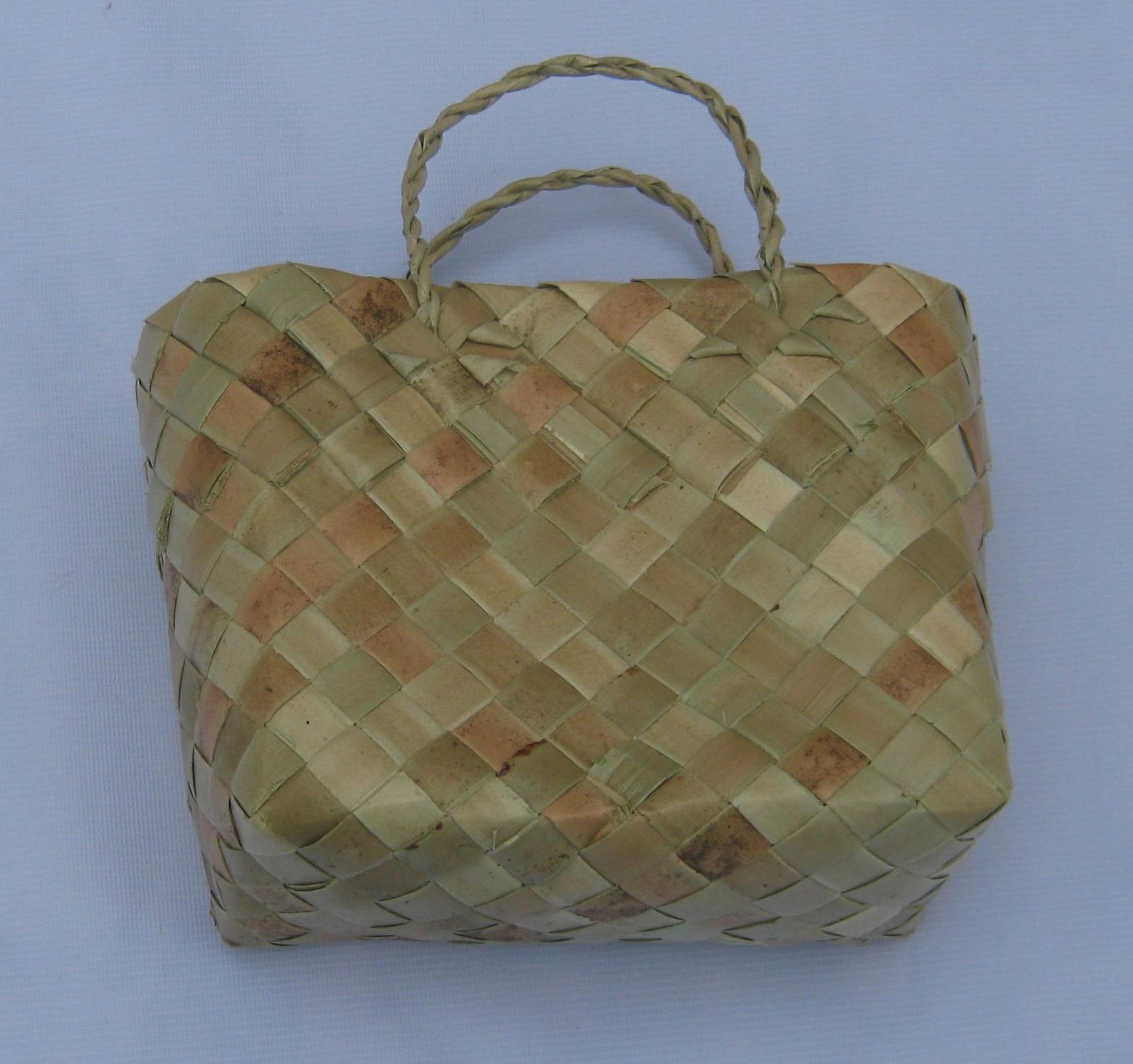 A culture of Innovation, Environmentalism, and Empowerment Bayong