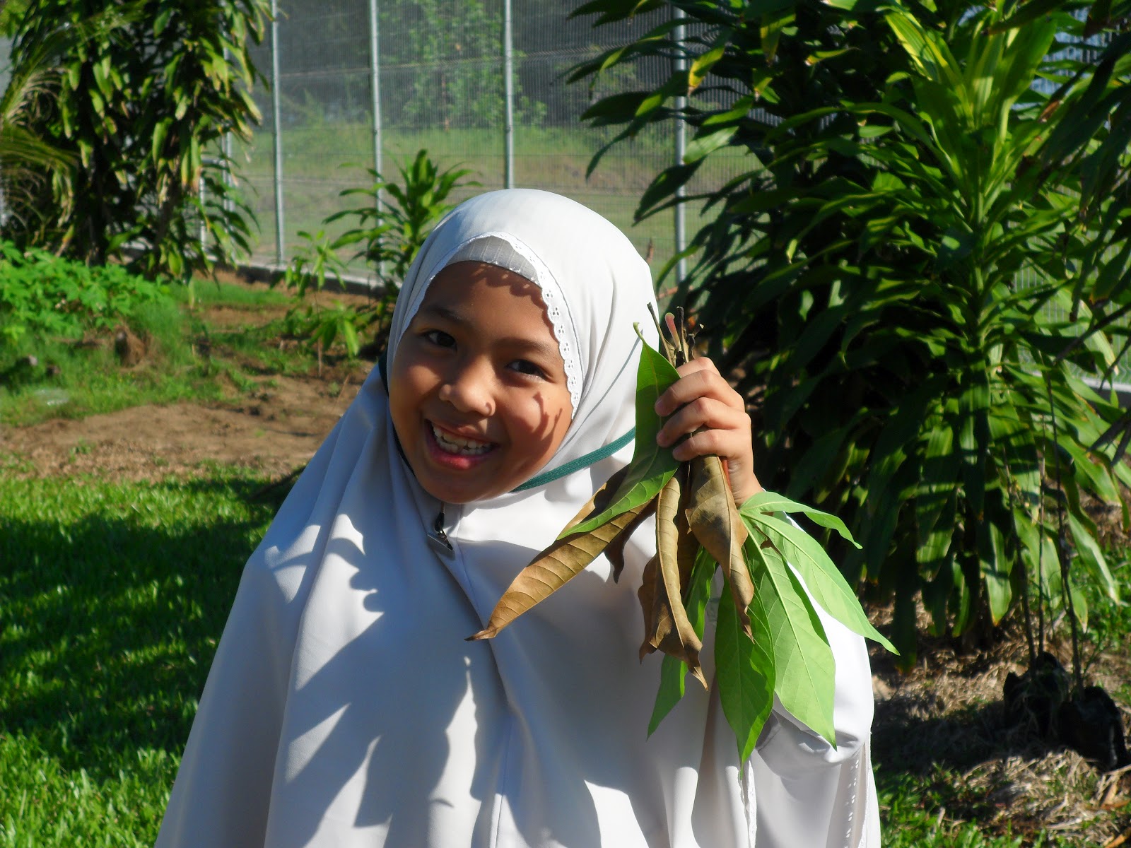 bahan lukisan